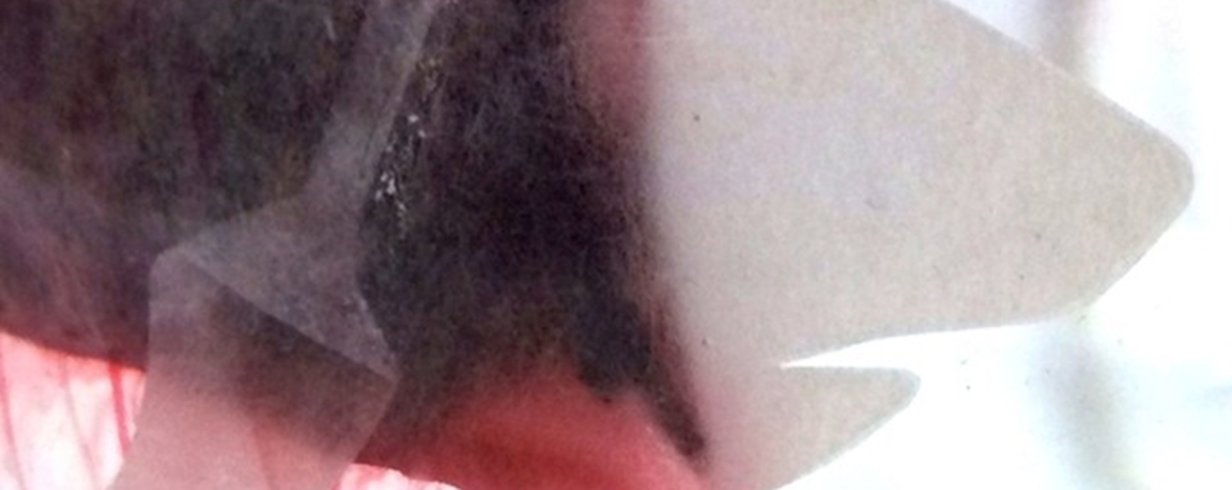 thumb-image-2024-02-29T14:01:52.531Z