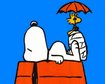 thumb-image-2024-02-29T14:01:52.787Z