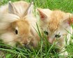 thumb-image-2024-02-29T14:01:52.958Z