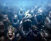 thumb-image-2024-02-29T14:01:53.530Z