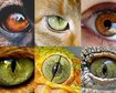 thumb-image-2024-02-29T14:01:53.965Z