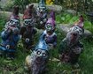 thumb-image-2024-02-29T14:01:54.364Z