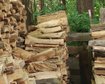 thumb-image-2024-02-29T14:01:54.422Z