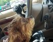 thumb-image-2024-02-29T14:01:55.059Z