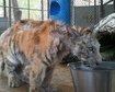 thumb-image-2024-02-29T14:01:55.310Z