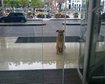 thumb-image-2024-02-29T14:01:55.440Z