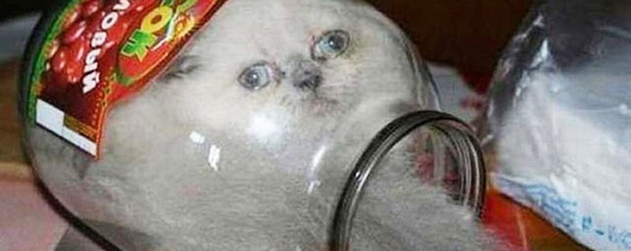 thumb-image-2024-02-29T14:01:55.562Z