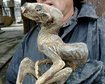 thumb-image-2024-02-29T14:01:56.046Z