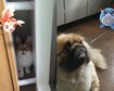 thumb-image-2024-02-29T14:01:56.153Z