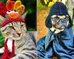 thumb-image-2024-02-29T14:01:56.889Z