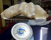 thumb-image-2024-02-29T14:01:57.026Z