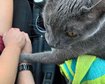 thumb-image-2024-02-29T14:01:57.776Z