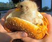 thumb-image-2024-02-29T14:01:58.155Z