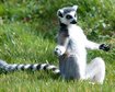 thumb-image-2024-02-29T14:01:58.447Z