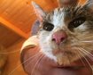 thumb-image-2024-02-29T14:01:58.561Z