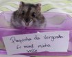 thumb-image-2024-02-29T14:01:58.622Z