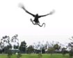 thumb-image-2024-02-29T14:01:58.653Z