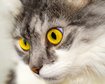 thumb-image-2024-02-29T14:01:59.070Z