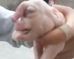 thumb-image-2024-02-29T14:01:59.341Z
