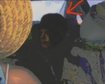 thumb-image-2024-02-29T14:01:59.350Z