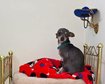 thumb-image-2024-02-29T14:01:59.857Z