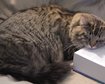 thumb-image-2024-02-29T14:01:59.866Z