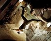 thumb-image-2024-02-29T14:02:00.189Z