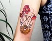 thumb-image-2024-02-29T14:02:00.266Z