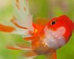 thumb-image-2024-02-29T14:02:00.639Z