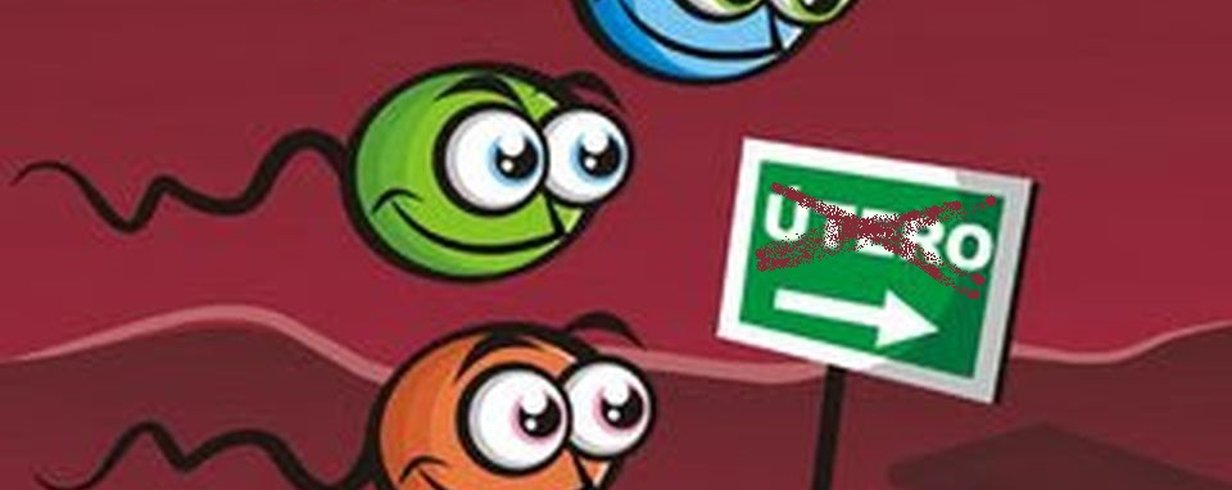 thumb-image-2024-02-29T14:02:00.661Z