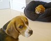 thumb-image-2024-02-29T14:02:00.673Z