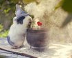 thumb-image-2024-02-29T14:02:00.869Z