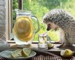 thumb-image-2024-02-29T14:02:00.902Z