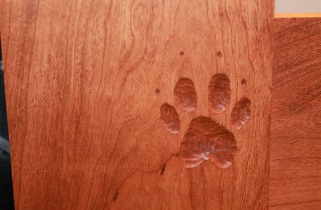 Este casal construiu uma cama gigantesca para dormir com seus 8 cachorros