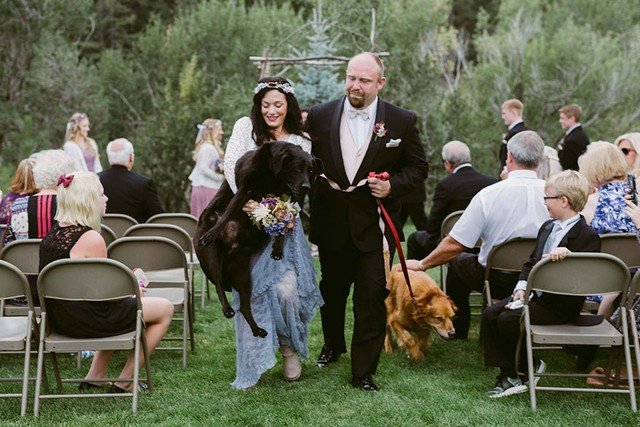 Cachorro fez questão de ir ao casamento da dona antes de morrer