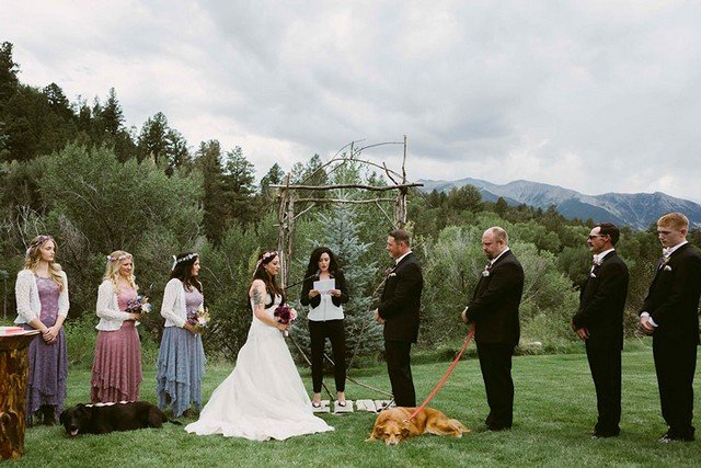 Cachorro fez questão de ir ao casamento da dona antes de morrer