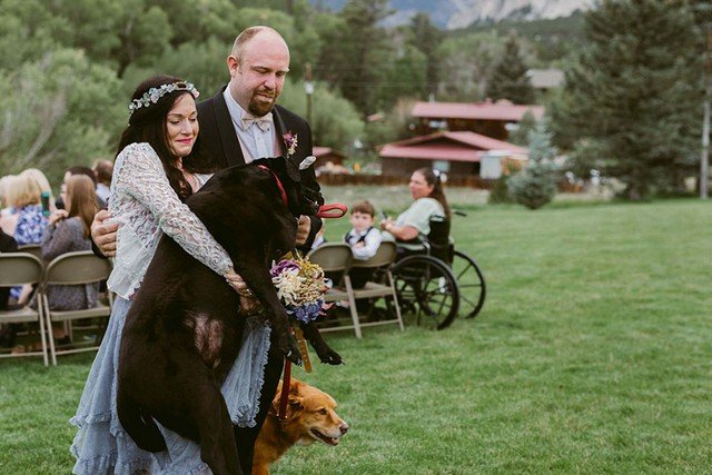Cachorro fez questão de ir ao casamento da dona antes de morrer