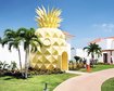 thumb-image-2024-02-29T14:02:01.275Z