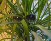 thumb-image-2024-02-29T14:02:02.085Z