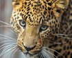 thumb-image-2024-02-29T14:02:02.174Z