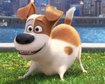 thumb-image-2024-02-29T14:02:02.673Z