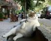 thumb-image-2024-02-29T14:02:03.104Z