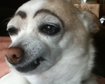 thumb-image-2024-02-29T14:02:03.273Z