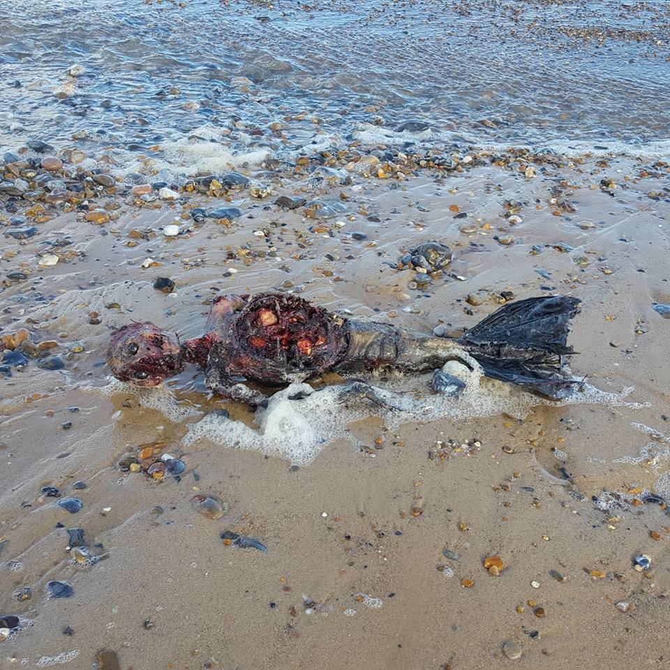 Ariel, é você? Corpo de sereia é encontrado na praia e divide opiniões