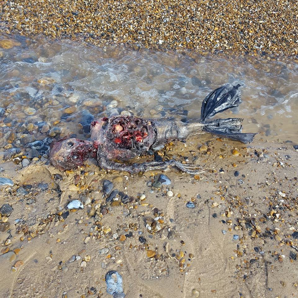 Ariel, é você? Corpo de sereia é encontrado na praia e divide opiniões