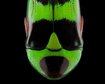 thumb-image-2024-02-29T14:02:04.133Z