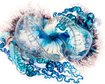 thumb-image-2024-02-29T14:02:04.182Z