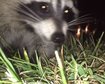 thumb-image-2024-02-29T14:02:04.367Z