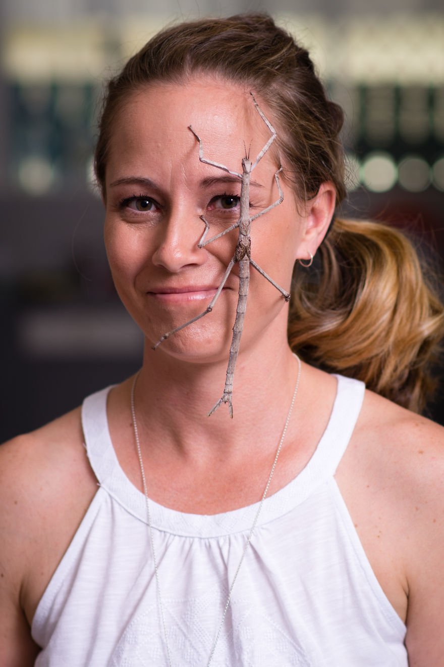 Estas fotos de uma mulher e suas 5 aranhas venenosas vão aterrorizar você