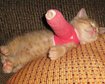 thumb-image-2024-02-29T14:02:04.834Z